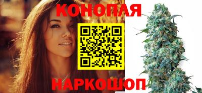 дмт Нарткала