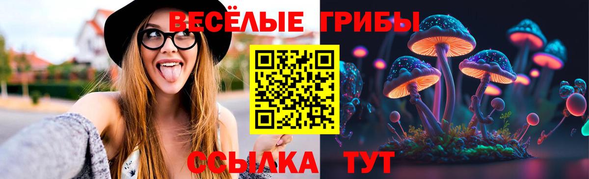 Новокубанск  где можно купить   Вход с VPN  Псилоцибиновые грибы Psilocybe 